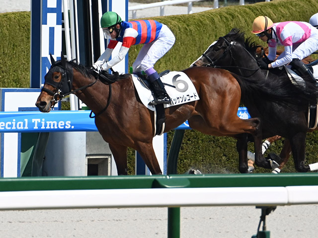 3歳未勝利 結果・払戻 | 2025年3月22日 阪神4R レース情報(JRA