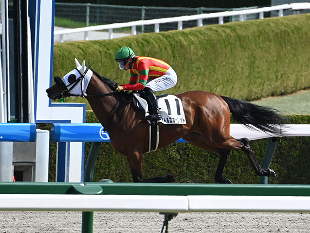 新しいエルメス 結果・払戻 3歳未勝利 | レース情報(JRA 阪神1R 2025年3月29日 ぬいぐるみ