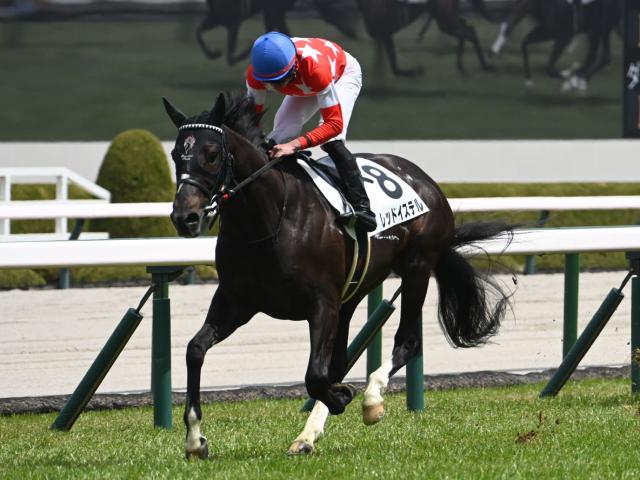 ジャンダルムが武豊を背に新馬戦勝利。スターリーステージは3着