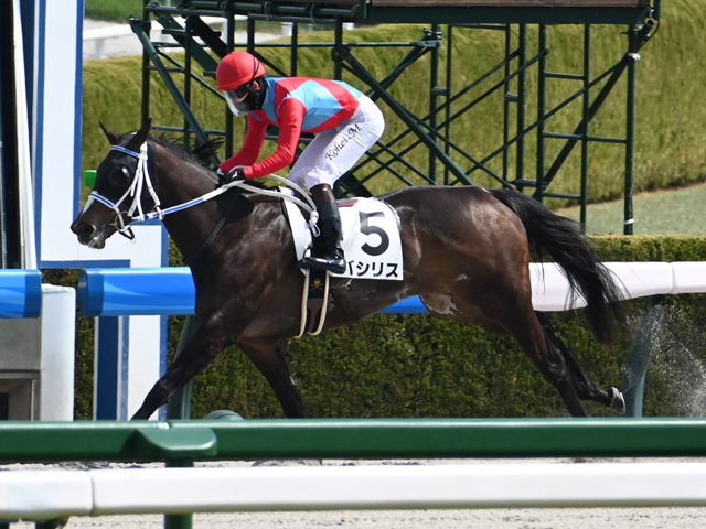 阪神4R・2歳新馬】ジャスティファイ産駒オーサムリザルトが