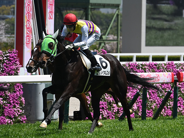 3歳未勝利 結果・払戻 | 2025年4月12日 阪神4R レース情報(JRA 3歳未勝利 結果・払戻 | 2025年4月12日 阪神4R レース情報(JRA