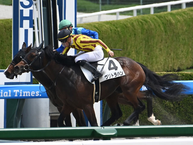 3歳未勝利 結果・払戻 | 2025年3月29日 阪神1R レース情報(JRA