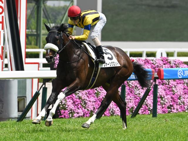 3歳未勝利 結果・払戻 | 2025年4月19日 阪神4R レース情報(JRA 3歳未勝利 結果・払戻 | 2025年4月19日 阪神4R レース情報(JRA