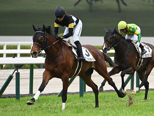 3歳未勝利 結果・払戻 | 2025年4月20日 阪神5R レース情報(JRA