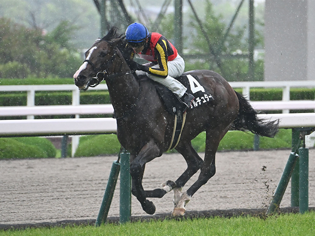 競馬 単勝馬券 No.2 共同通信杯の単勝・複勝・枠連オッズ【2025年2月16日東京11R