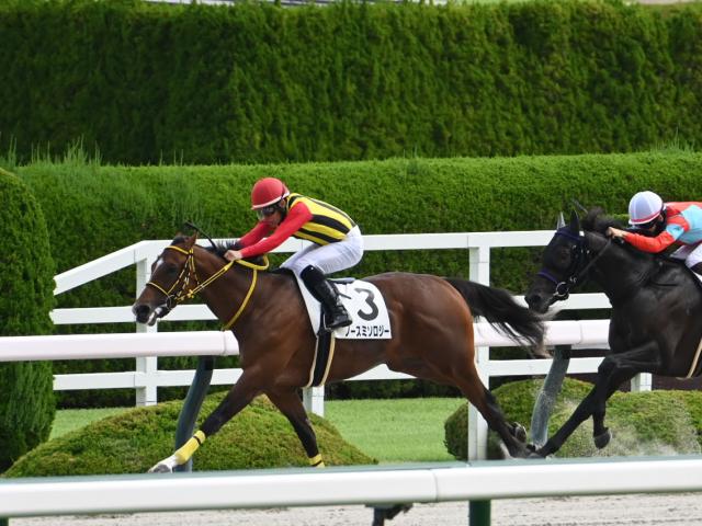 2歳未勝利 結果・払戻 | 2025年9月13日 阪神1R レース情報(JRA