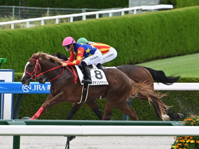 2歳未勝利 結果・払戻 | 2025年9月13日 阪神2R レース情報(JRA