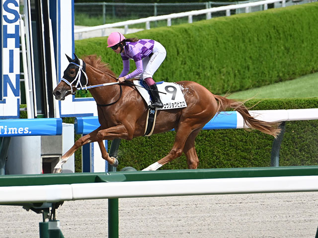 2歳新馬 結果・払戻 | 2025年9月28日 阪神4R レース情報(JRA