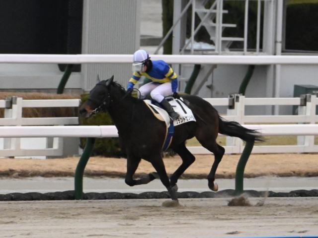 4歳以上1勝クラス 結果・払戻 | 2025年2月15日 小倉12R レース