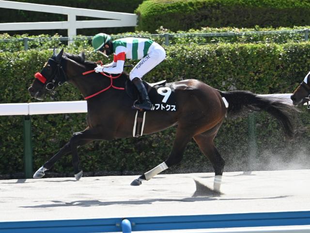 (未使用･未開封品)　競馬通ポータブル JRA公式データ22年分収録 - PSP sdt40b8 Amazon | 競馬通ポータブル JRA公式データ22年分収録 - PSP