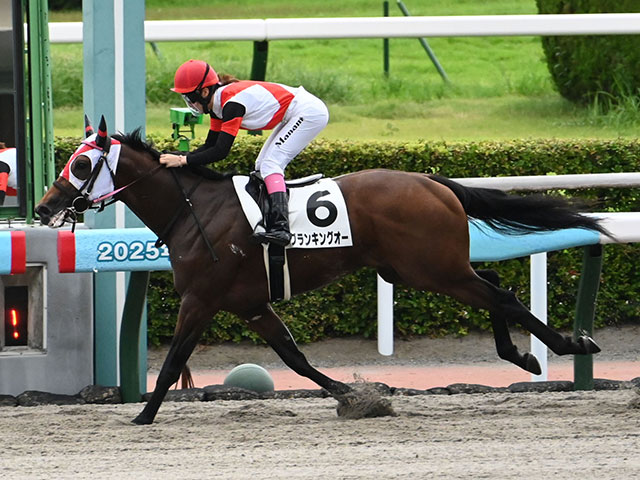 エアグルーヴ 3歳新馬戦 デビュー戦 単勝馬券 不的中 換金不可 エアグルーヴ 3歳新馬戦 デビュー戦 単勝馬券 不的中 換金不可