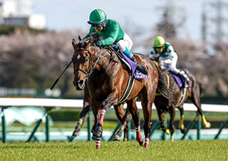 【中山グランドジャンプ 2019】オジュウチョウサン4連覇＆障害 ...