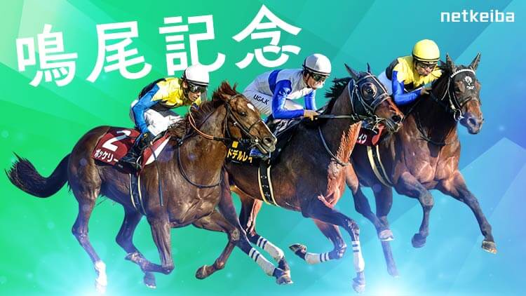 競馬　有力馬情報　後ろに競馬場のデータ付き 10/8(日) 京都競馬場 切り抜きDATA(展開注目データ＆好調馬