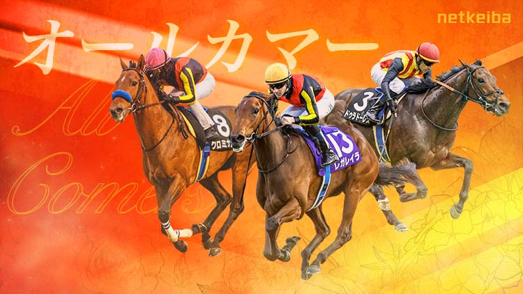 競馬　アバンティ　AVANTI　メイショウドトウ　Sサイズ　オールカマー 競馬アバンティSサイズ「メイショウドトウ」オールカマー未開封