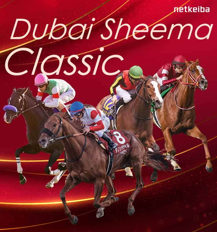ドバイシーマクラシック2025特集 | netkeiba 競馬予想・結果