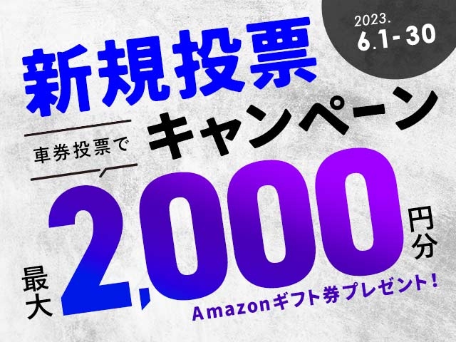 6/1〜6/30 新規投票キャンペーン！条件達成で最大2,000円分のAmazonギフト券プレゼント！