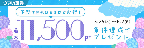 ガイド