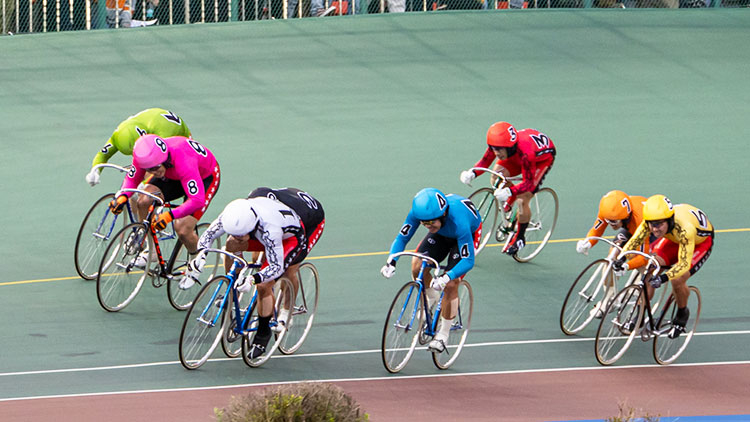【弥彦競輪G3予想】準決勝と決勝の予想は!? プロ予想家たちの予想印は？無料予想も公開中！｜ふるさとカップ2025
