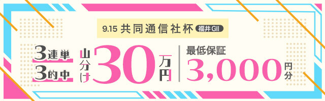 ガイド