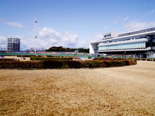 【宇都宮競輪予想】追い込み選手の1着を狙うべし！ 宇都宮競輪場の決まり手の傾向は？｜ワンダーランドカップ2023(G3)