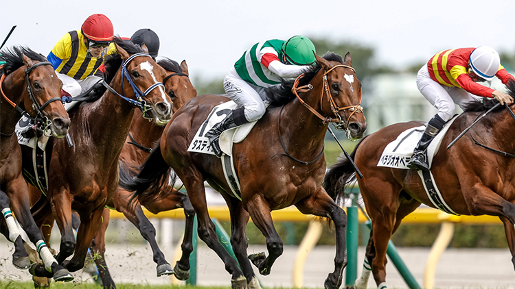 2023年日本ダービーの勝ち馬タスティエーラ((c)netkeiba.com、撮影：下野雄規)