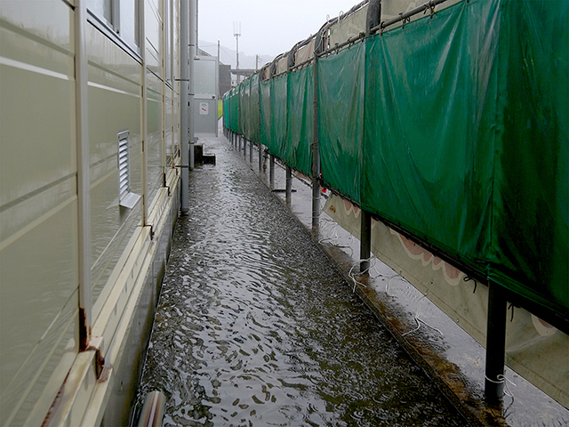 敢闘門裏の通用路も浸水